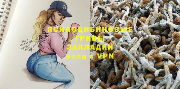 бошки Горнозаводск