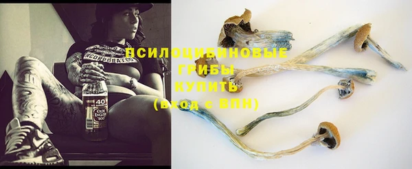 бошки Горнозаводск
