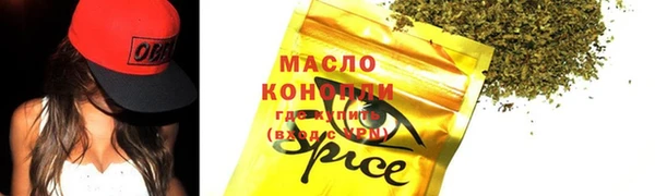 индика Горняк