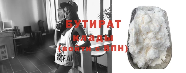 индика Горняк