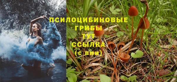 прущая мука Горно-Алтайск