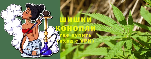индика Горняк