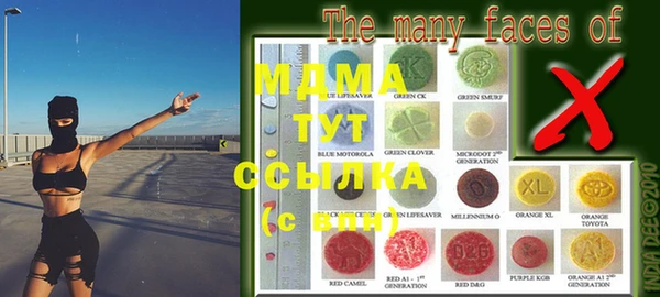 индика Горняк