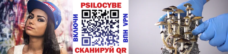 Купить закладки  Кукмор  Псилоцибиновые грибы прущие грибы 